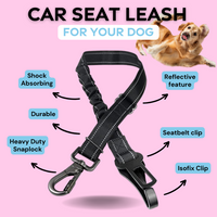 Standard Car Seat Leash