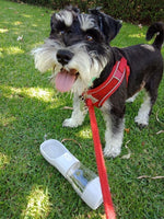 Portable Water & Treat Bottle (2-in-1)