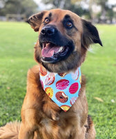 Donut Bandanna