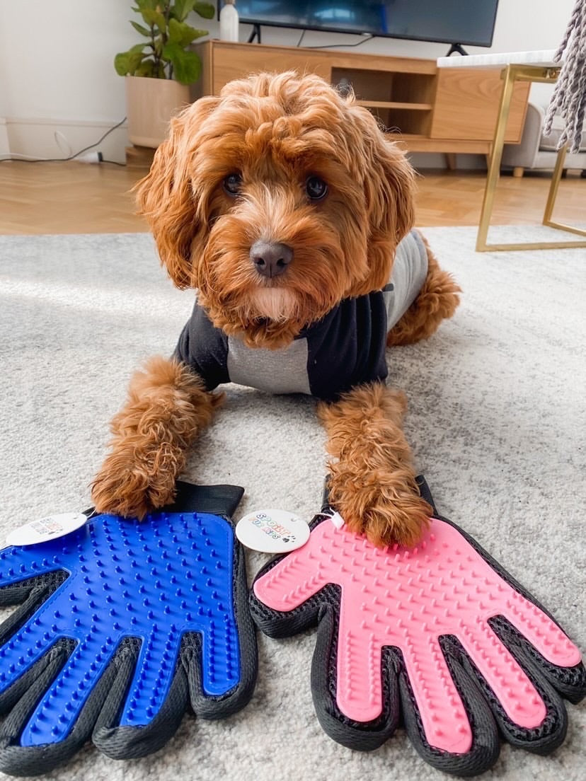 Grooming Glove Spoilt Fur Kids