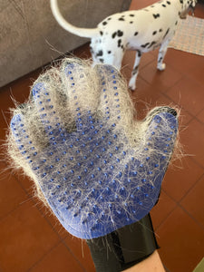 Grooming Glove