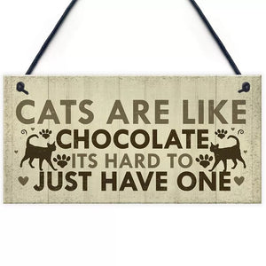 Cats are like chocolate it’s hard to just have one