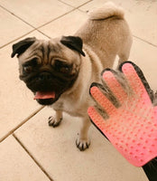 Grooming Glove
