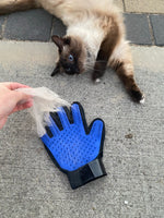 Grooming Glove
