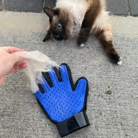 Grooming Glove