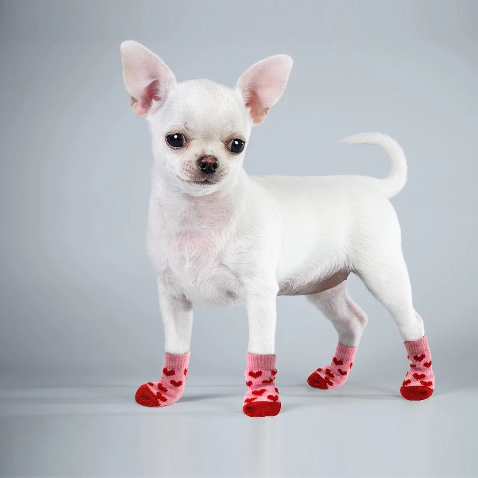 pet pics on socks