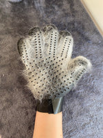 Grooming Glove
