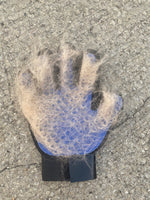 Grooming Glove
