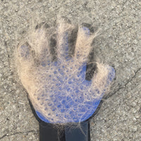 Grooming Glove